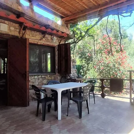 Civetta Solanas (Cagliari)
