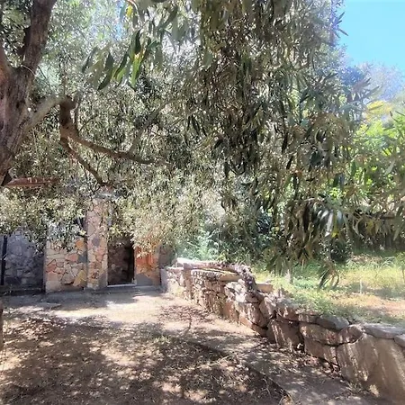 Civetta 4*