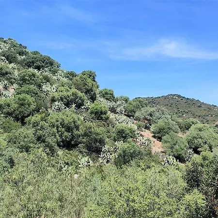 Civetta